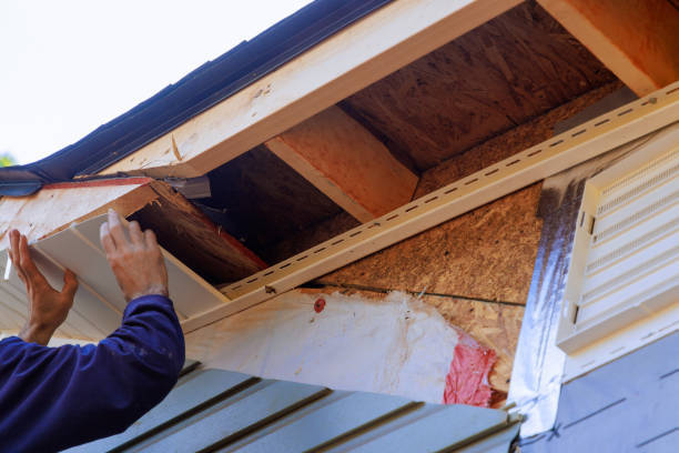Fascia board replacement Johnstone