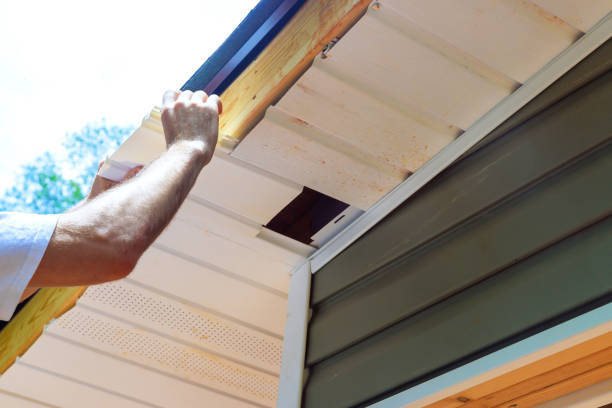 Soffit installation & repairs Johnstone